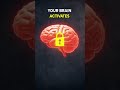 Your Brain Shuts Down During Exams 😳