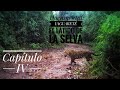 Documental: Yaguareté, (el latido de la selva) JAGUAR DOCUMENTARY