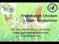 Free Range Chicken Layer Production
