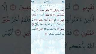 تلاوة خاشعة للشيخ فارس عباد ـ سورة التين ۩ مكتوبة ۩ Sourate AT TIN  Fares Abbad
