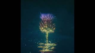 Géonne Hartman - Correct Me If I'm Wrong (official audio)