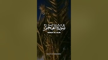 سورة الفجر | قراءة هادئة تريح القلب 🥰💗