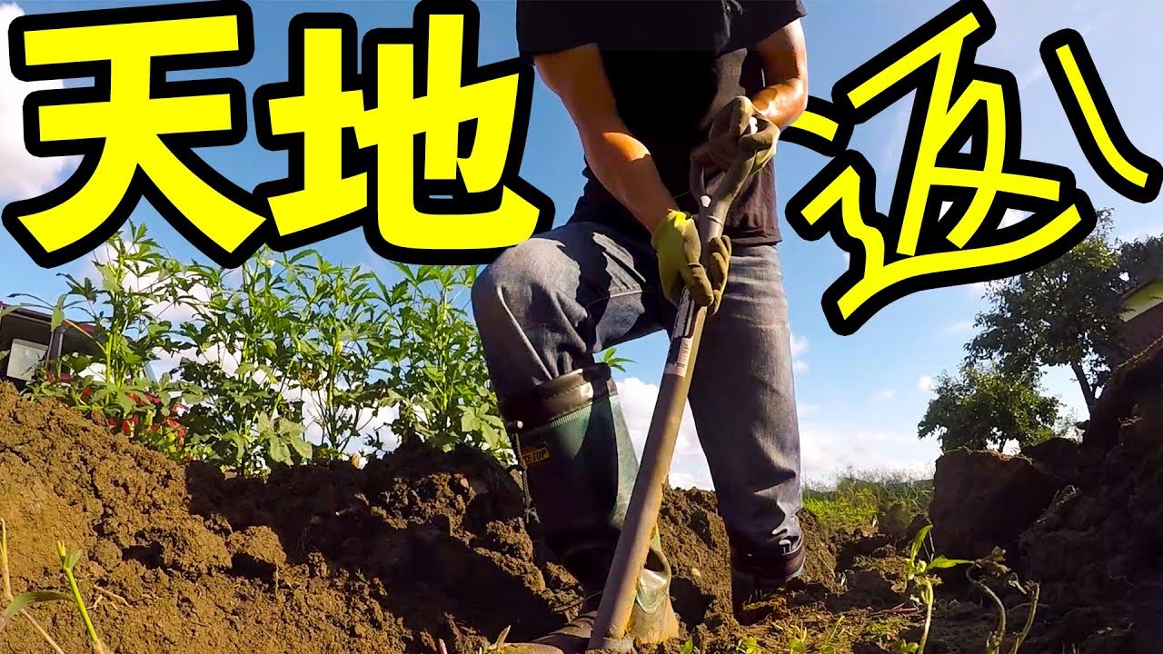 家庭菜園 天地返しで土作りしました Youtube 家庭菜園 天地返しで土作りしました Youtube