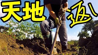 【家庭菜園】天地返しで土作りしました