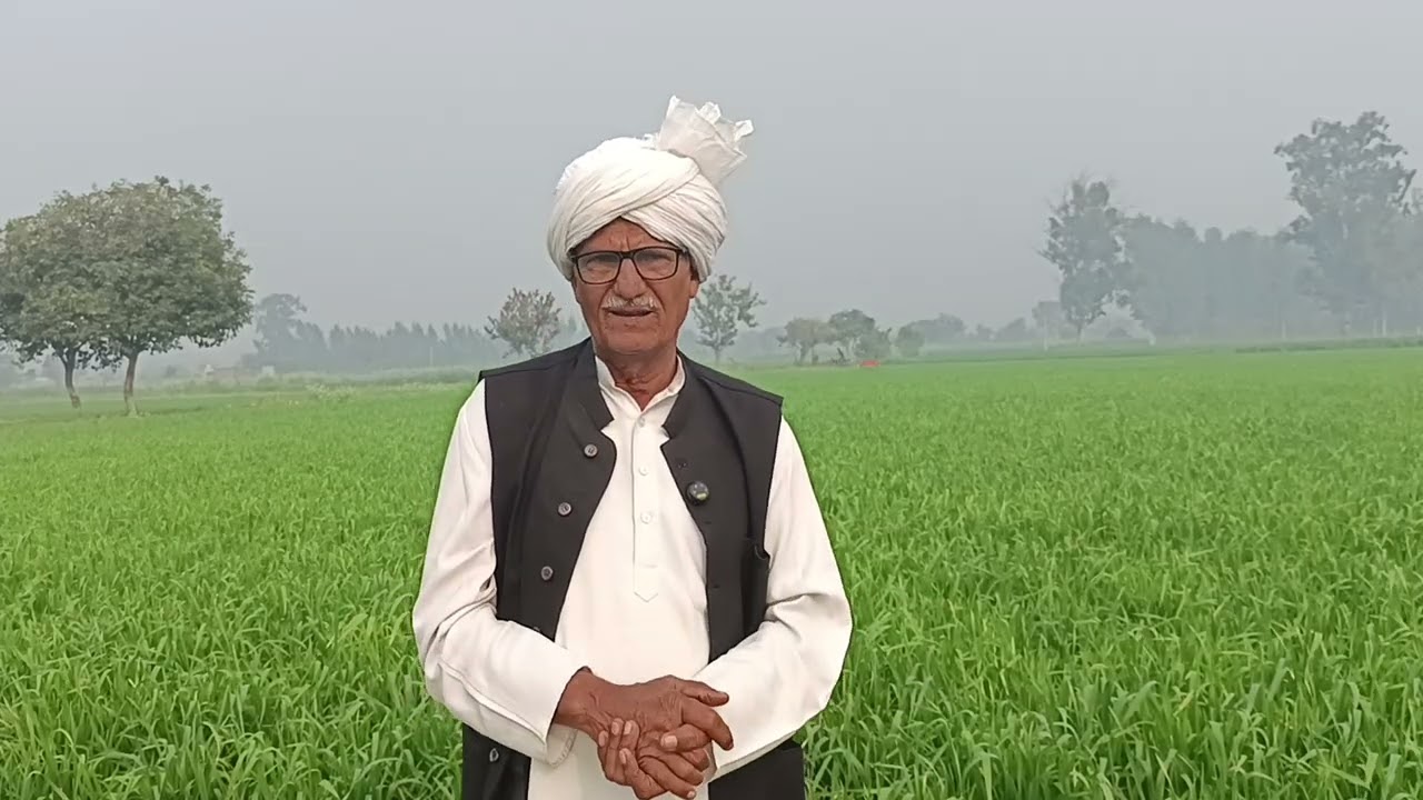 बहन के भात भरने गए भाइयों में हो गया झगड़ा चला दी गोली हो गया कत्ल शादी की खुशियां बदल गई मातम में 