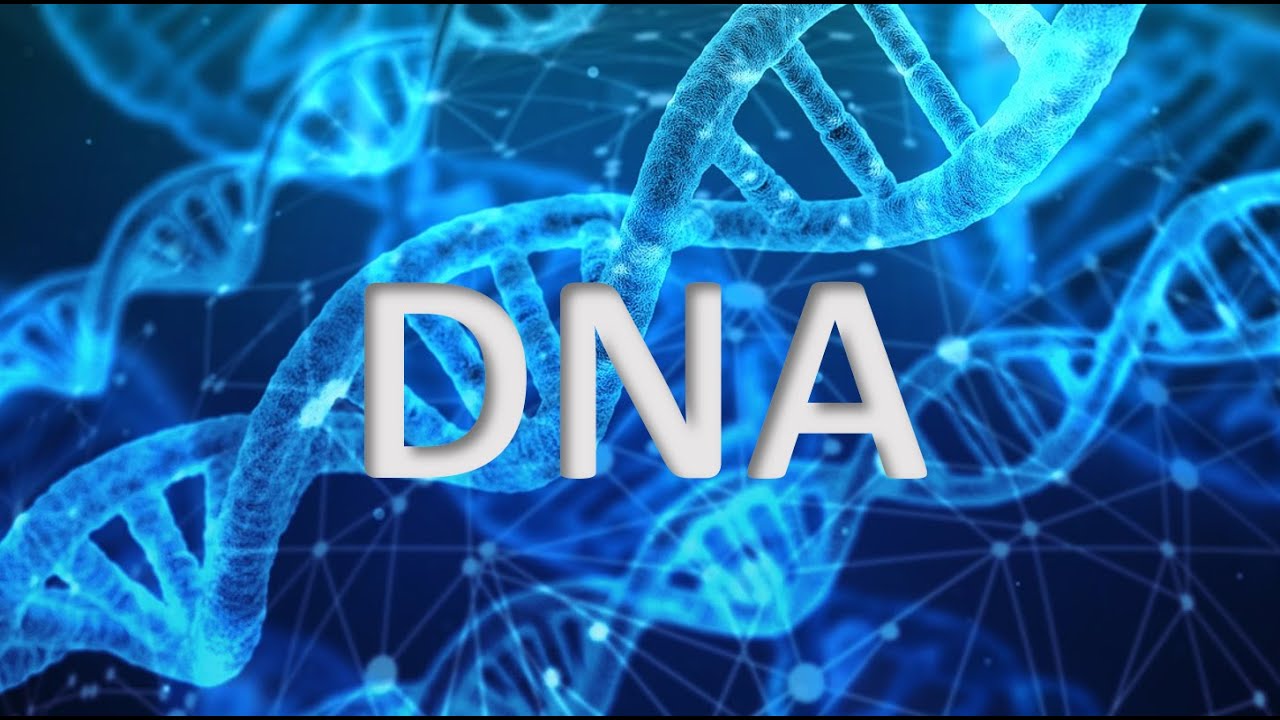 tour of the basics dna