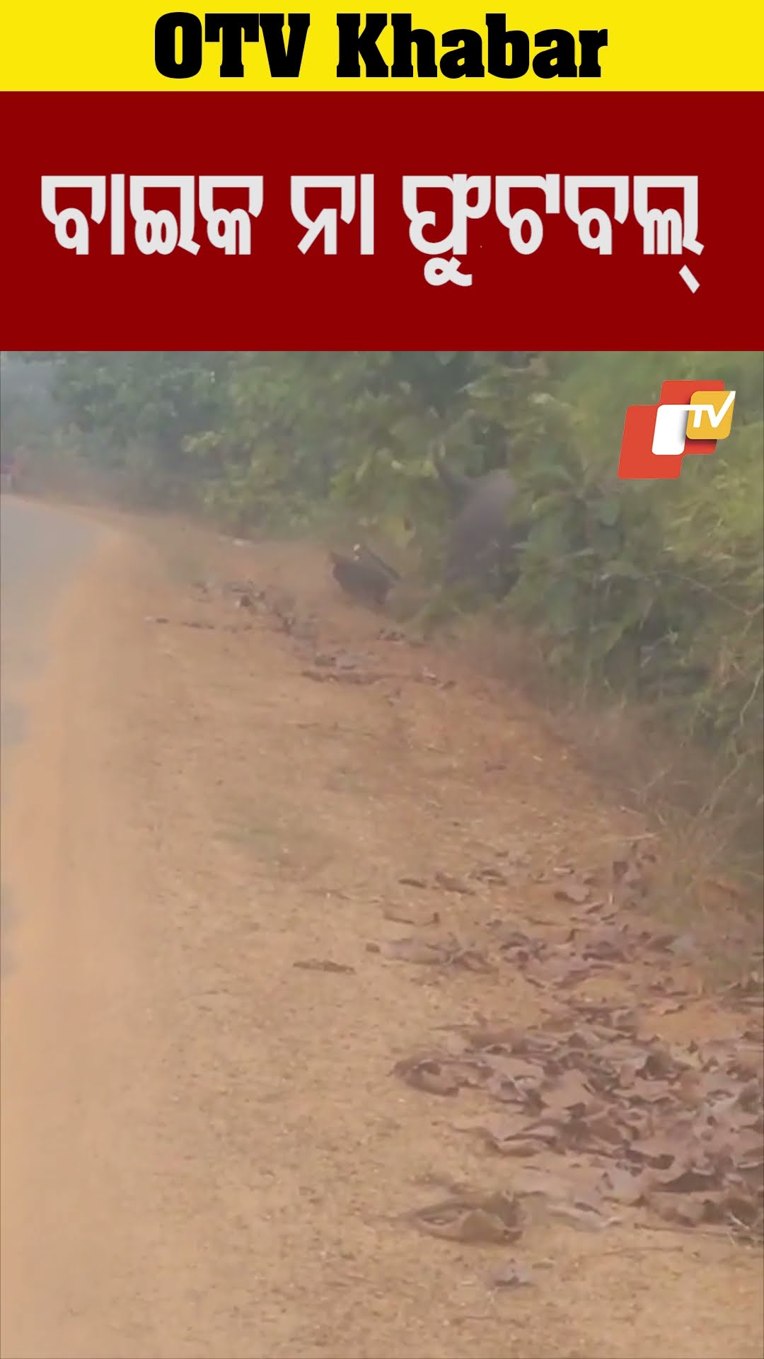 ବାଇକକୁ ଫୁଟବଲ୍ ପରି ମାରିଲେ