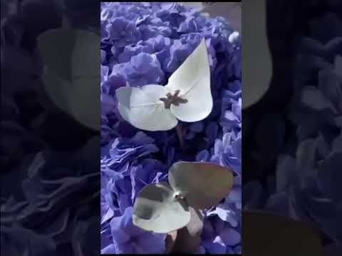 مياده الحناوى خايفه ليه