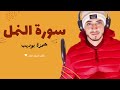 تلاوة خاشعة ما تيسر من سورة النمل القارئ حمزة بوديب 