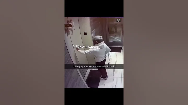 little doggy gets stuck outside the elevator 😲 #shorts #dog #trending #rescue