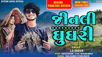 Ld Dodva New Timli 2025 | જીનલી ઘૂઘરી | Mahesh Nargawa New Timli 2025 | Vishnu Bhil New Timli 2025