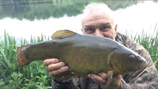 Getting the tench campaign underway at last