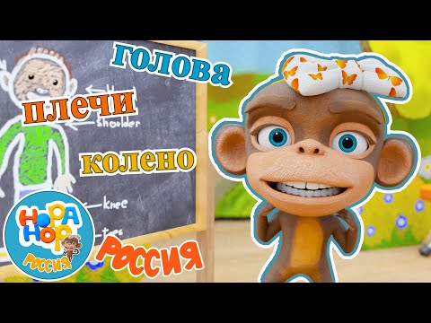 части тела | HopaHop Детские песни