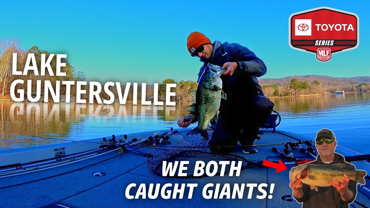 LAKE GUNTERSVILLE Toyota Series – We Caught GIANTS!