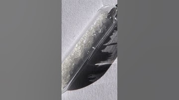 Terbium - The Element of Brilliance and Innovation