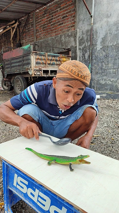 Stop #shorts #funny #viralvideo