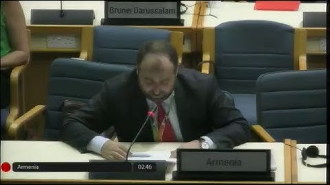 UNEA 3: Closing Plenary - Floor