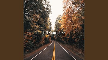 Pulsating Bossa Nova Guitars and Jazz Organ - Vibe for Dog Connections