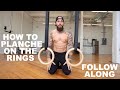 Planche Workout For Beginners (Follow Along) How To Tutorial