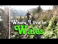 Where i live in wales dinbyc.enbigh  wales  welshbloke walking