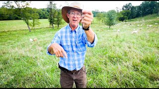 Greg Judy’s Best "Medicine" for Sheep Parasites
