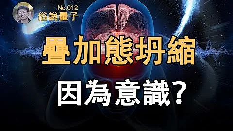 【俗說量子】人的意識導致波函數坍縮？（第12期）| Linvo說宇宙 - 天天要聞