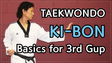 🥋 Taekwondo 3rd Gup Kibon (Basic Blocks and Strikes) | TaekwonWoo