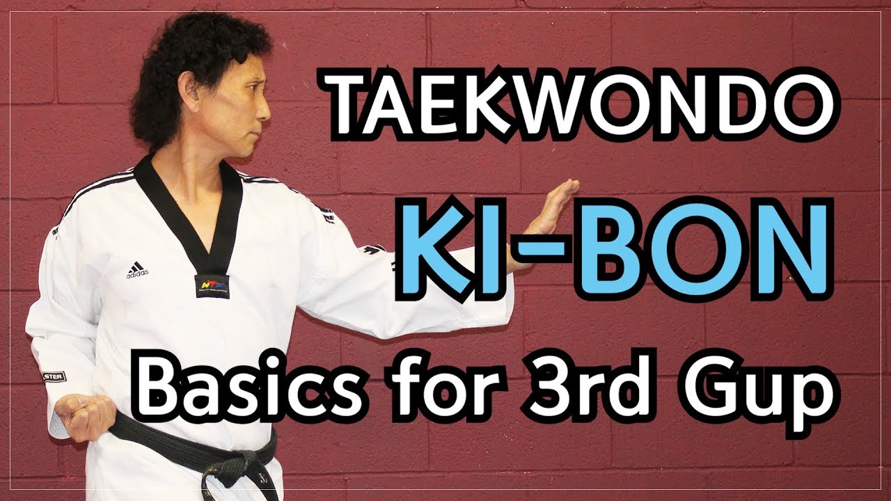  taekwondo 3rd gup kibon basic blocks and strikes taekwonwoo youtube
