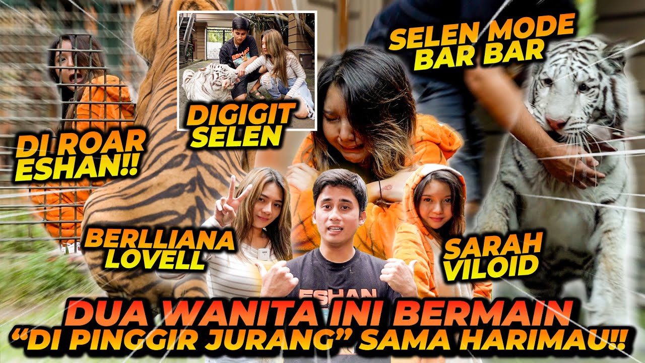 BERLLIANA LOVELL & SARAH VILOID BERANI SAMA HARIMAU ?! SAMPE HAMPIR KENA G1G1T !