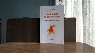 ironie et paradoxe dans la nouvelle critique