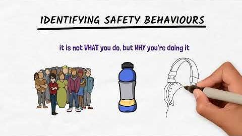 Safety Behaviours