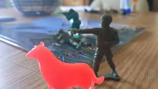 Army Men Attack On Tan