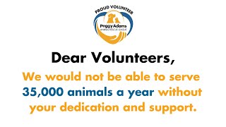 Our Staff & Animals Love Our Volunteers!