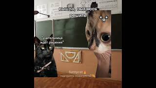 а вы часто отвечаете на уроках? мой тгк:funnycatmems2502  #котымемы #мемы #коты #врекомендации