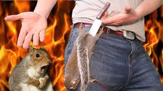 Making Knife & Sheath from Squirrel - Forging the Squirrel Blade!