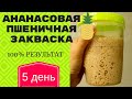 ВСЕ СЕКРЕТЫ ☆ ПШЕНИЧНАЯ ЗАКВАСКА ДЛЯ ХЛЕБА на ананасовом соке по рецепту П.Рейнхарта ☆ ДЕНЬ 5