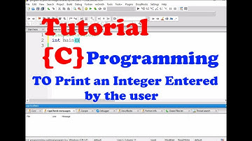 C Programming To Print an Integer Entered by the user  Part-2