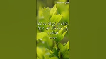 سورة فاطر آية ٩_الشيخ ماهر المعيقلي