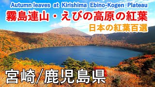 宮崎県 霧島連山 えびの高原の紅葉 六観音御池 大浪池 Autumn Leaves At Kirishima Ebino Kogen Miyazaki Japan 日本の紅葉絶景 Youtube