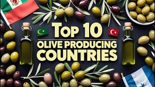 Top 10 Countries Dominating the Olive Industry! Who Grows the Most Olives?