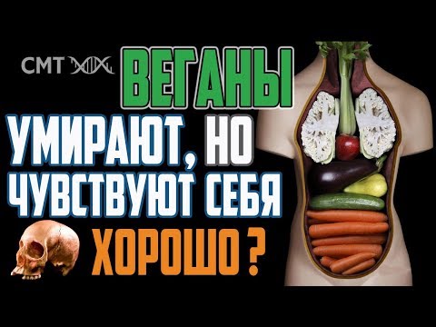 Сыроеды. Почему они