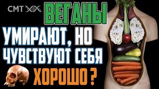 Сыроеды. Почему они чувствуют себя хорошо? Неизданное