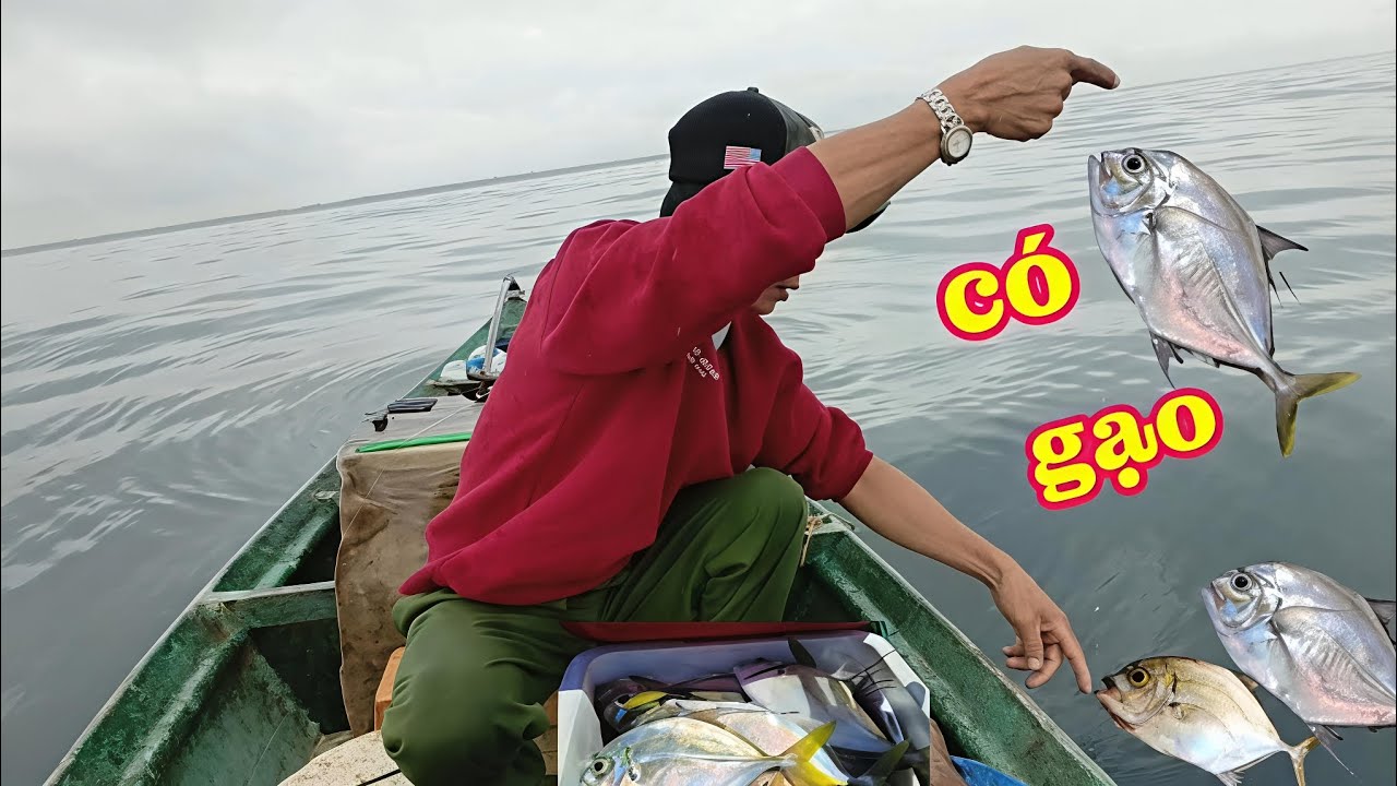 Buổi câu hôm nay/ gặp cá bè ăn lại quá hấp dẫn luôn!!!