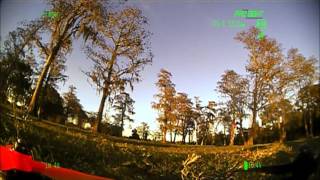 Moss 02162016