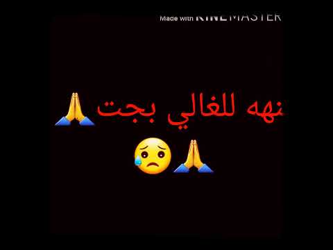 سيد مهدي الشبر ي ما نسيتك يالمشيت