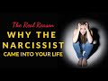 The Real Reason Why The Narcissist Came Into Your Life