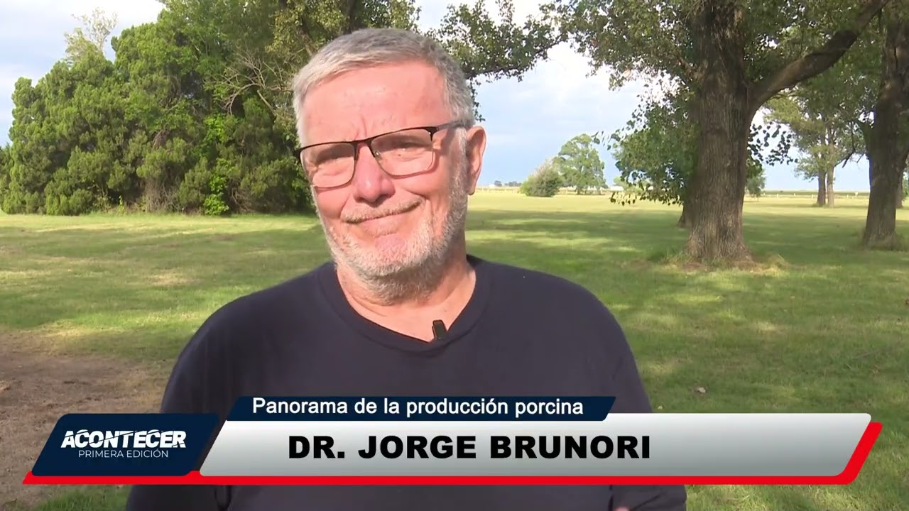 Balance del sector porcino en el año 2025