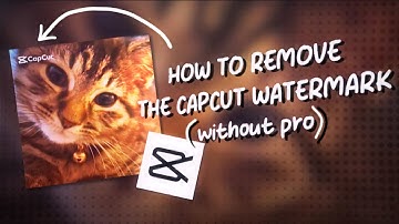 how to REMOVE the CAPCUT WATERMARK (without PRO!)