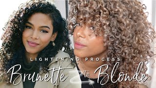 Watch this before you GO BLONDE! — My Pro Process (No Damage) + Curly Color Care Routine!