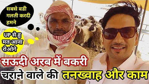 Saudi arab mein Bakri Charane wale ki salary | सऊदी अरब में बकरी चराने वाले की तनख्वाह #saudiarab